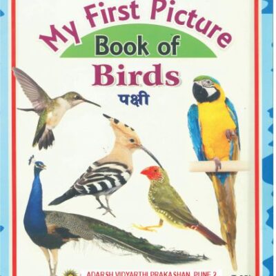 My First Picture Birds