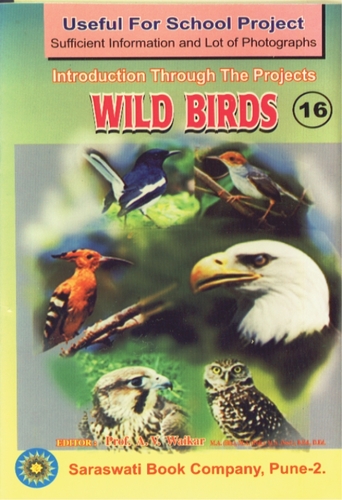 Wild Birds