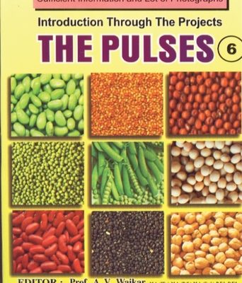 The Pulses